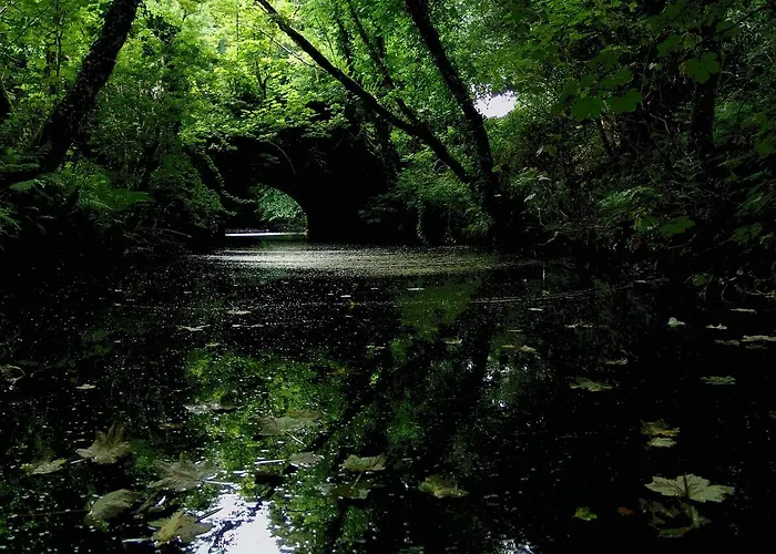 Vakantiehuis 261 - *